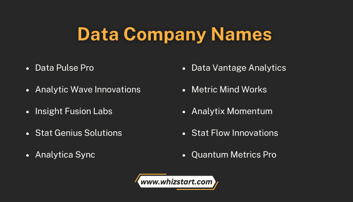 Data Company Names