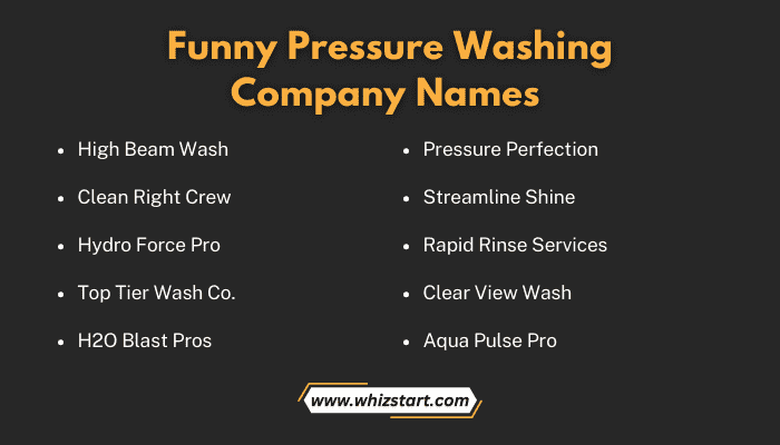 Funny Pressure Washing Company Names