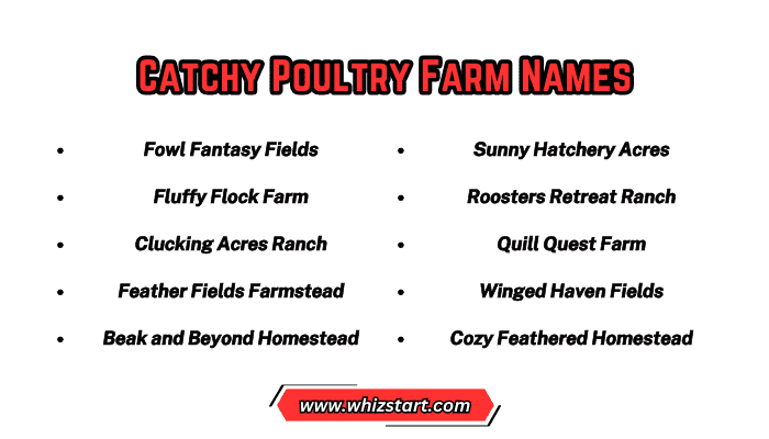 Catchy Poultry Farm Names
