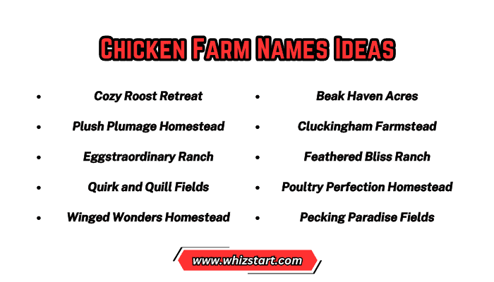 Chicken Farm Names Ideas