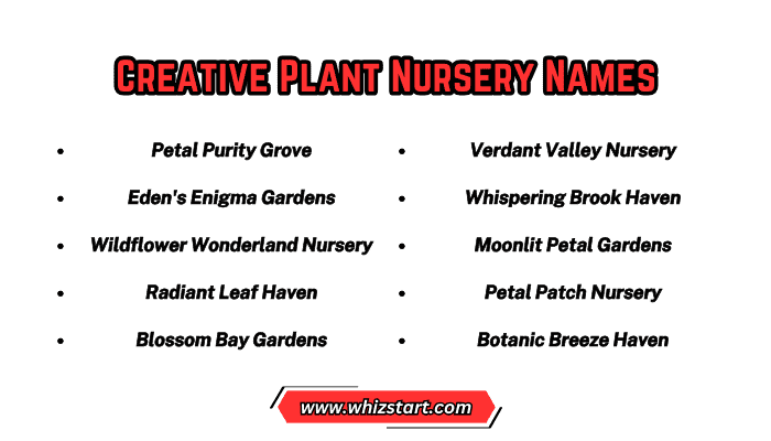 Creative Plant Nursery Names