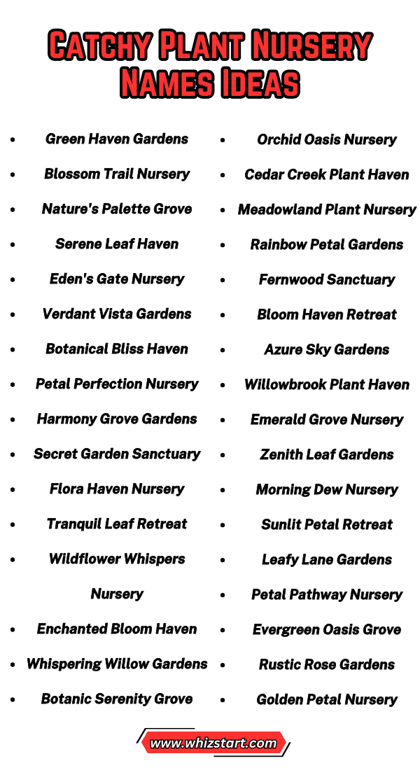 Plant Nursery Names Ideas