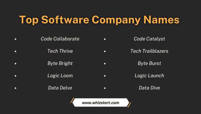 Top Software Company Names