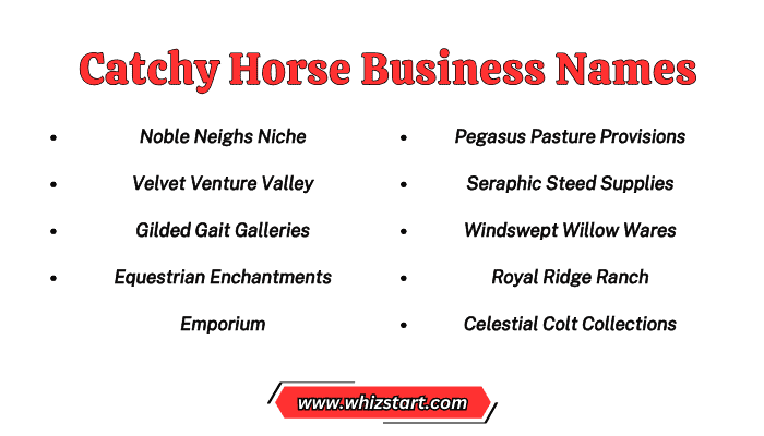 Catchy Horse Business Names