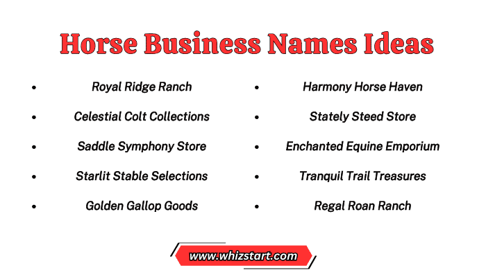 Horse Business Names Ideas