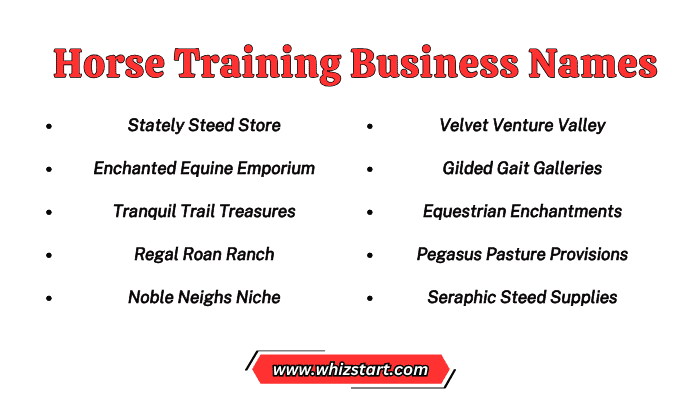 Horse Training Business Names