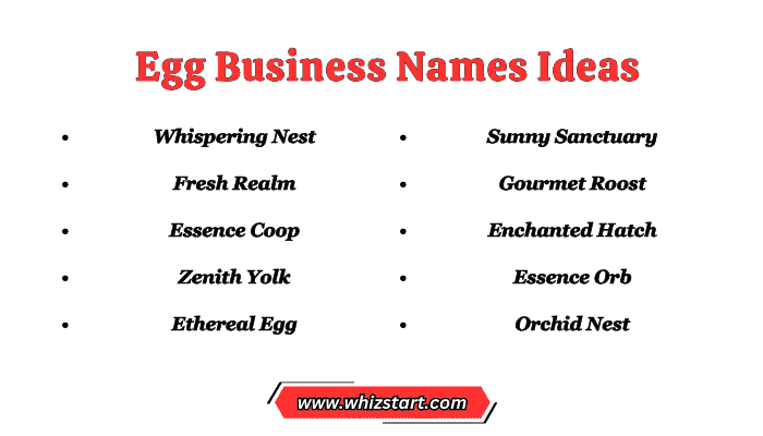Egg Business Names Ideas