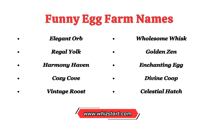 Funny Egg Farm Names