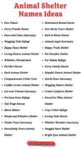 750+ Cute and Funny Animal Shelter Names Ideas - Whiz Start
