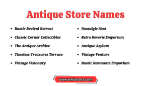 800+ Funny Antique Store Names Ideas You Can Use - Whiz Start