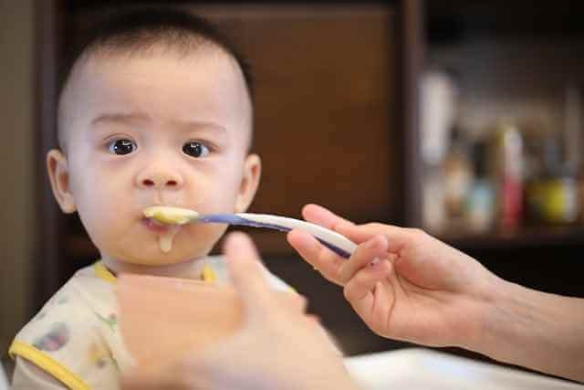 700+ Best Baby Food Company Names that Kids Love - Whiz Start