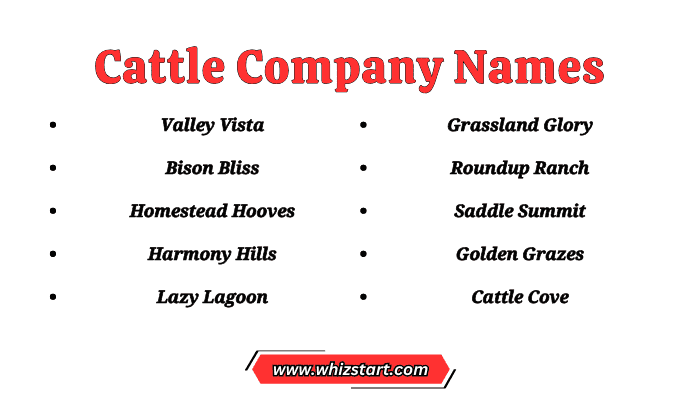 Cattle Company Names