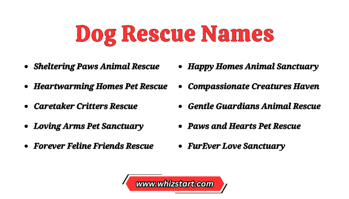 Dog Rescue Names