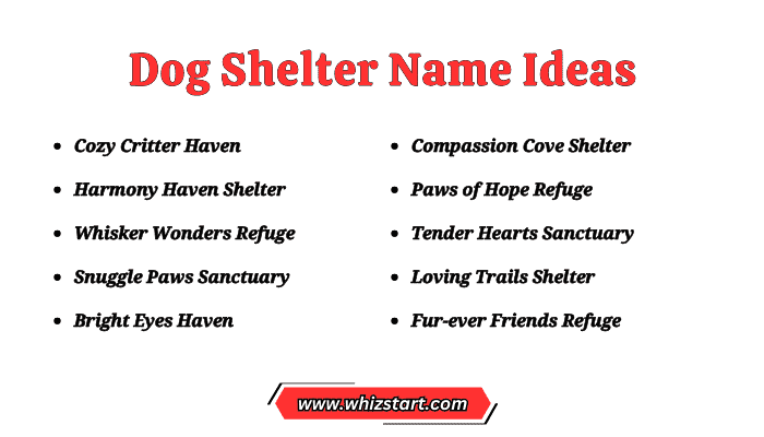 Dog Shelter Name Ideas