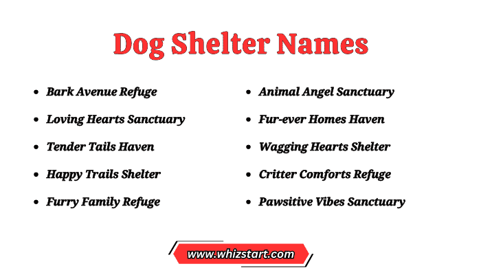 Dog Shelter Names