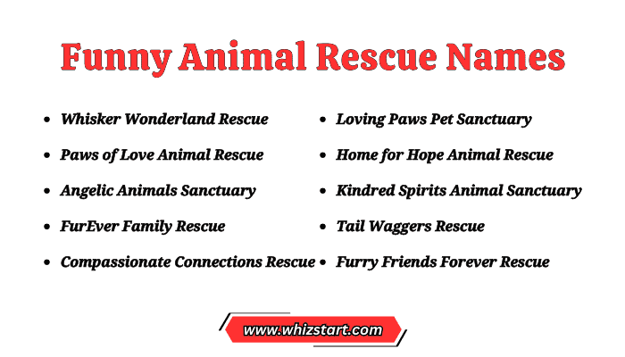 Funny Animal Rescue Names