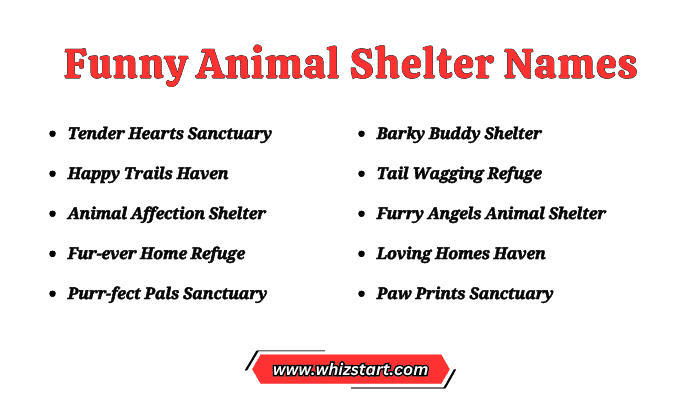 Funny Animal Shelter Names