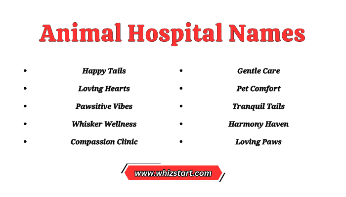 Animal Hospital Names