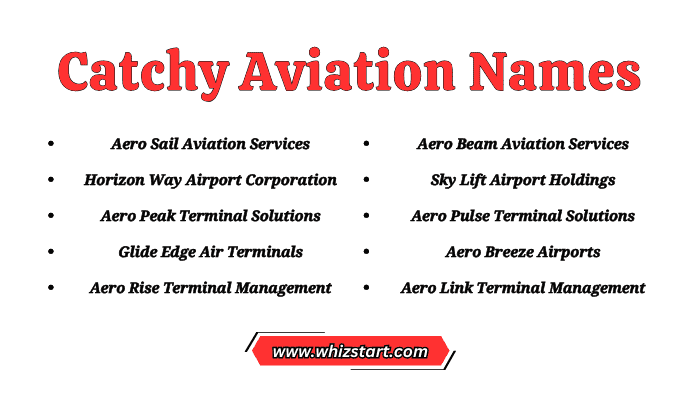Catchy Aviation Names