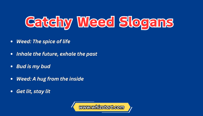 Catchy Weed Slogans
