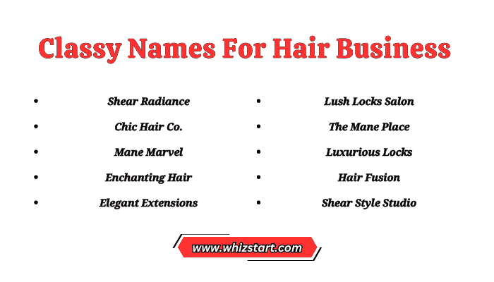 Classy Names For Hair Business