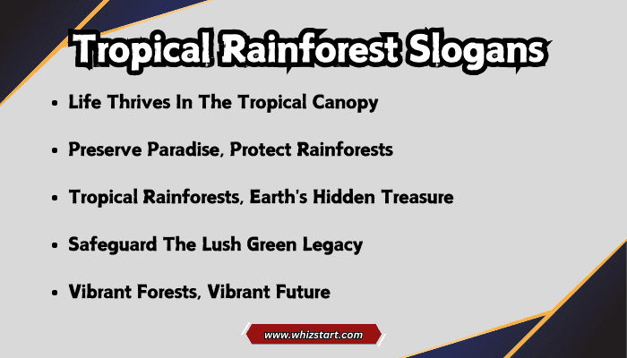 Tropical Rainforest Slogans