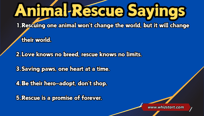 Animal Rescue Sayings