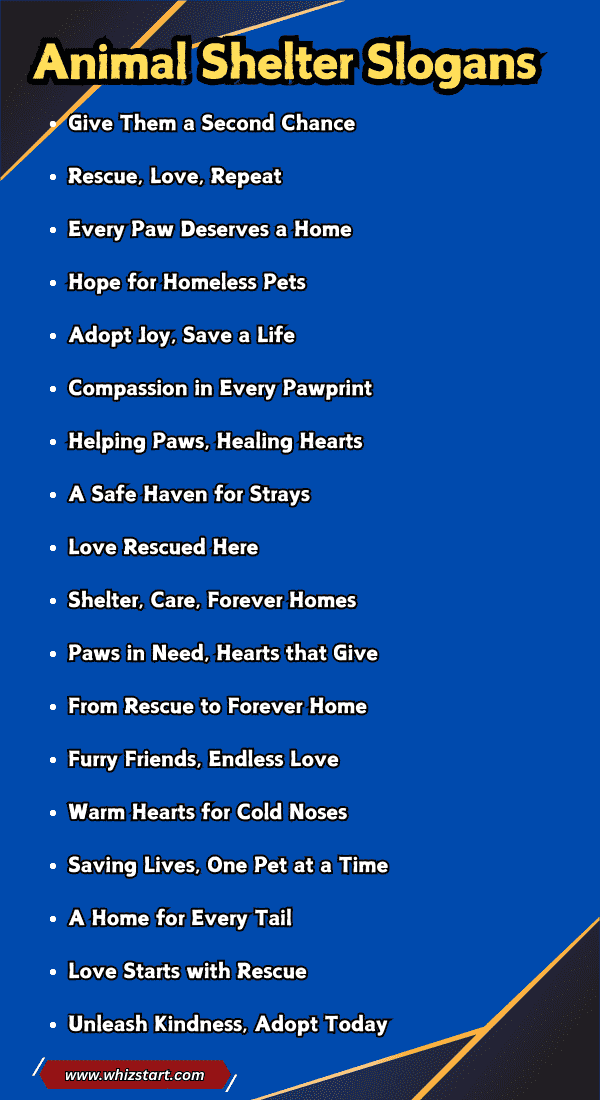 Animal Shelter Slogans