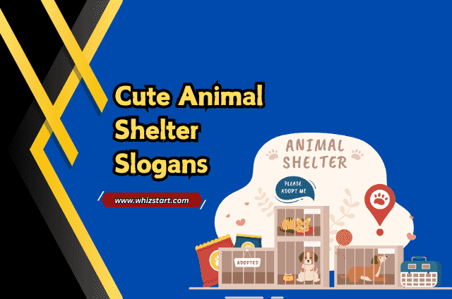 Cute Animal Shelter Slogans