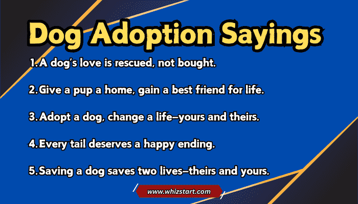 Dog Adoption Sayings