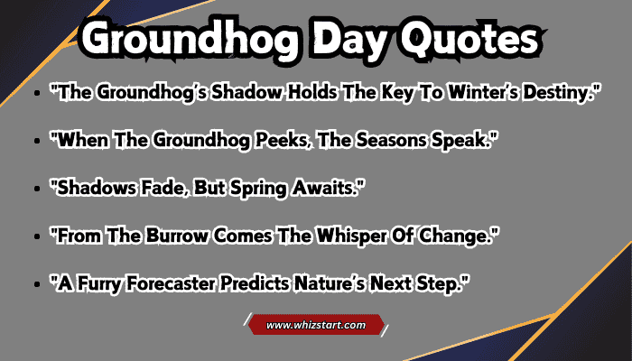 Groundhog Day Quotes