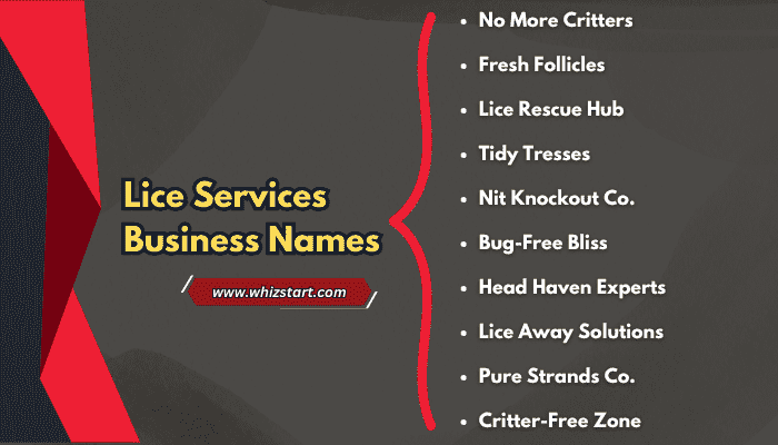 Lice Services Business Names