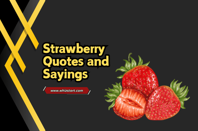 Strawberry Quotes and Sayings