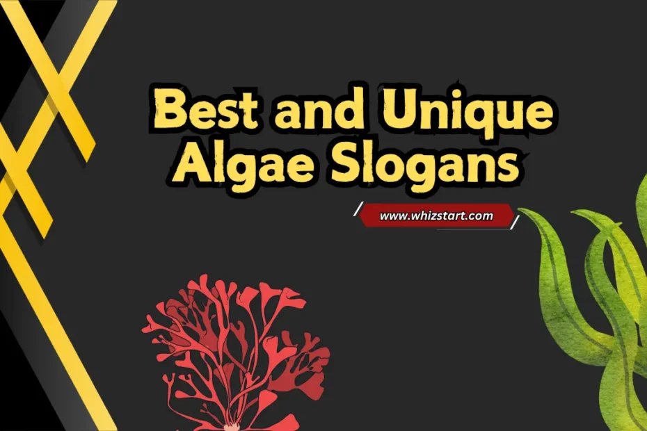 General Algae Slogans