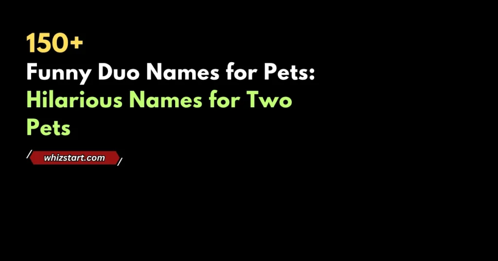 Funny Duo Names for Pets